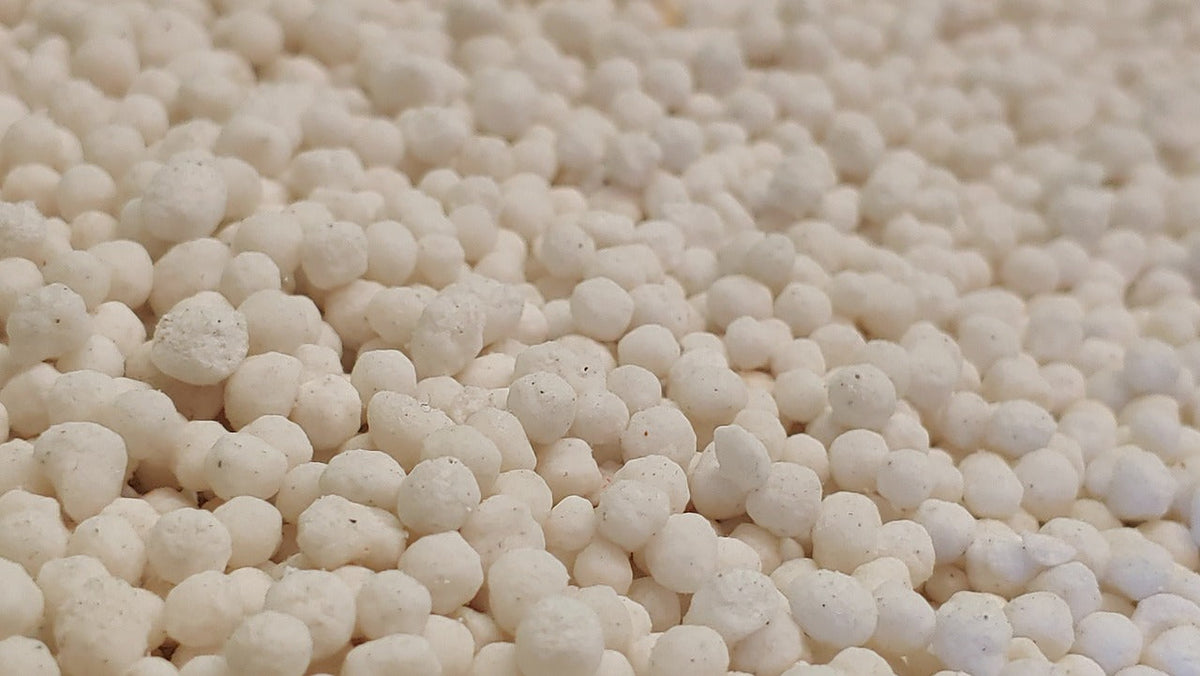 A Guide to Nitrogen Fertilizer Usage in Home Gardening