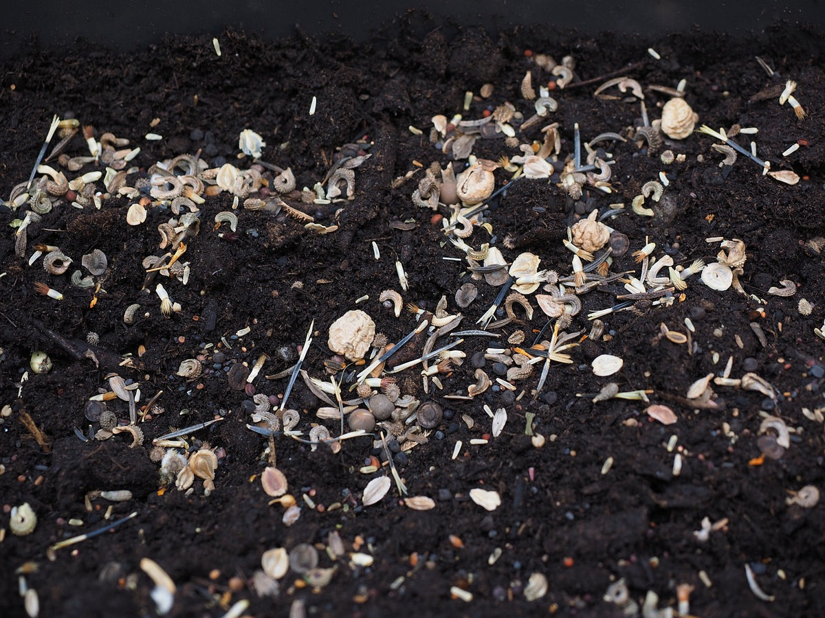 The Ultimate Guide to Using Peat for Vibrant Gardens