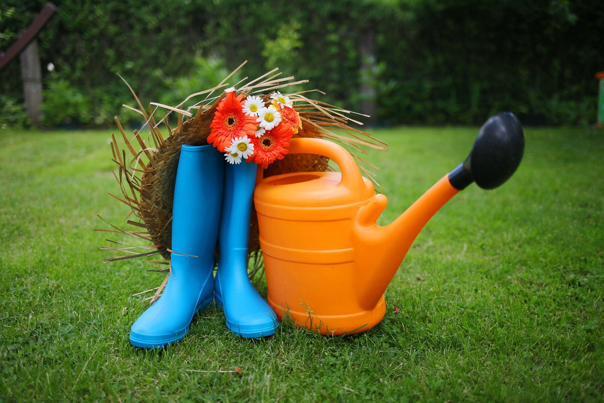 See dry or see wet? Rotten roots? Can you really water plants?-PART 2