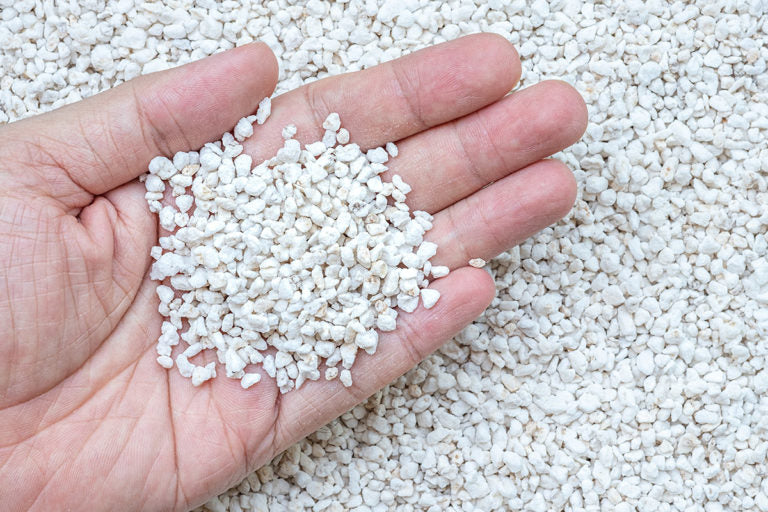Perlite: A Lightweight and Versatile Gardening Companion