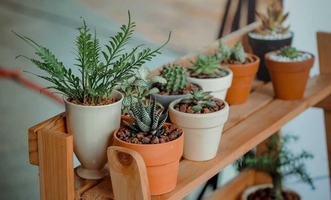 Tips for flower gardening