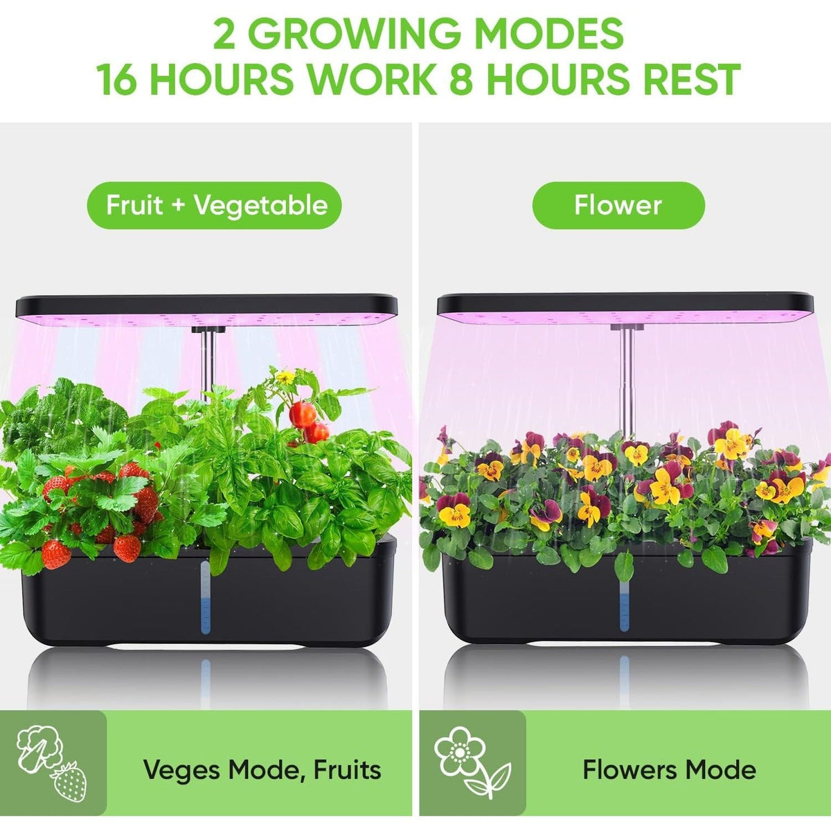 Hydroponics Growing System 12 Pods Indoor Herb Garden with 36W LED Grow Light, Height Adjustable Indoor Grow Kit Countertop Garden Automatic Timer Black Soilphu