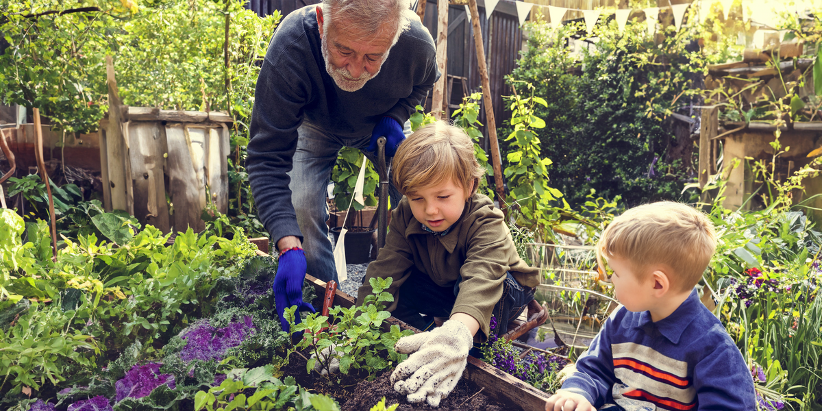 Soilphu devote to scientific gardening
