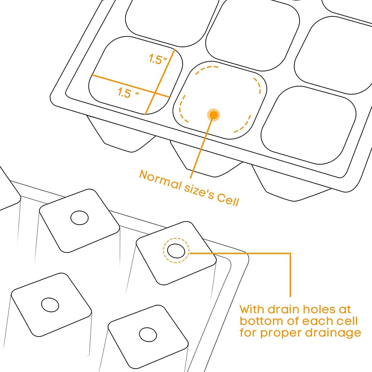 Seed Starter Tray