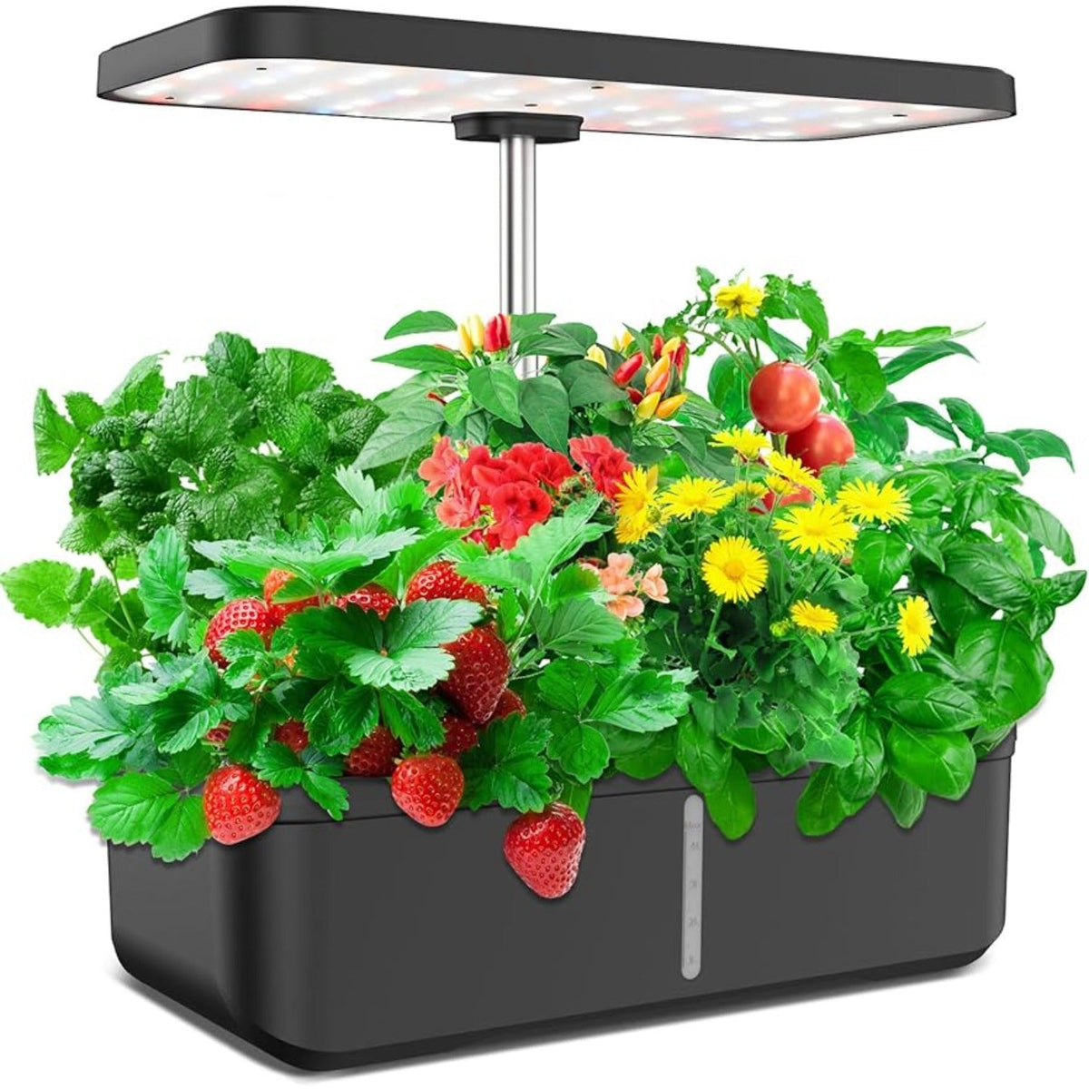 Hydroponics Growing System 12 Pods Indoor Herb Garden with 36W LED Grow Light, Height Adjustable Indoor Grow Kit Countertop Garden Automatic Timer Black Soilphu