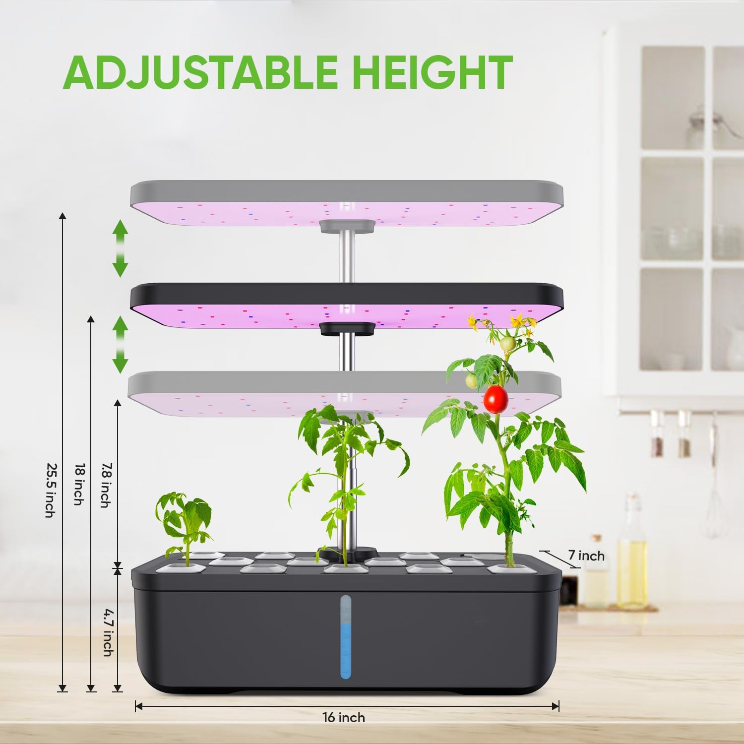 Hydroponics Growing System 12 Pods Indoor Herb Garden with 36W LED Grow Light, Height Adjustable Indoor Grow Kit Countertop Garden Automatic Timer Black