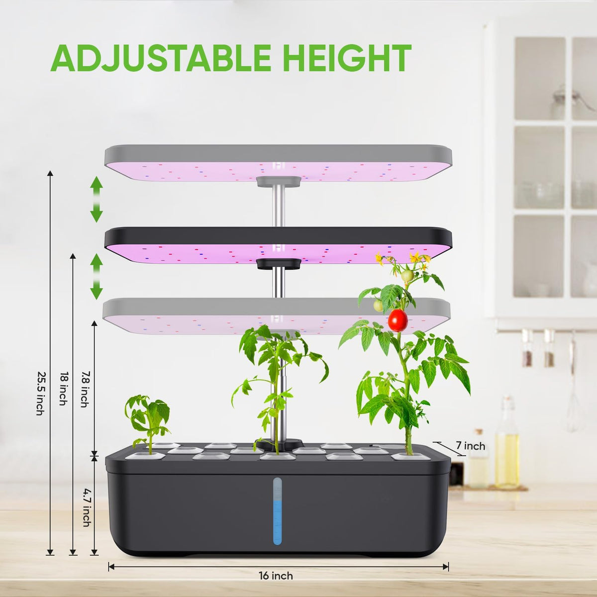 Hydroponics Growing System 12 Pods Indoor Herb Garden with 36W LED Grow Light, Height Adjustable Indoor Grow Kit Countertop Garden Automatic Timer Black Soilphu