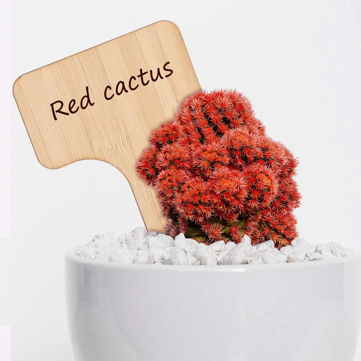 Plant Labels