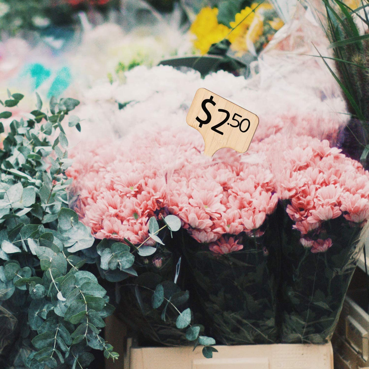 Plant Labels