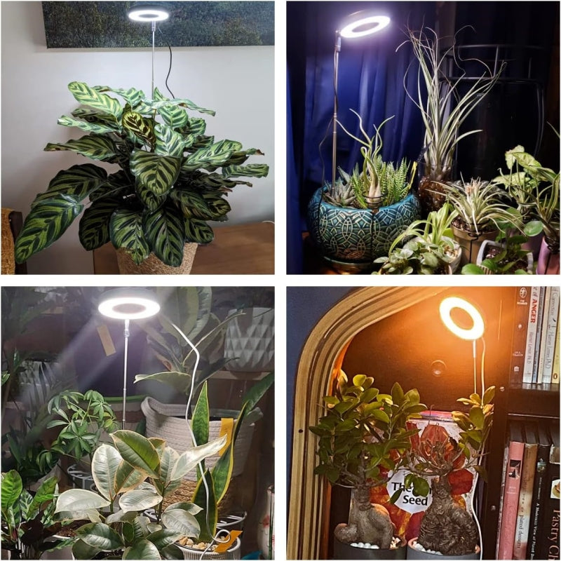 Height Adjustable Growing Lamp