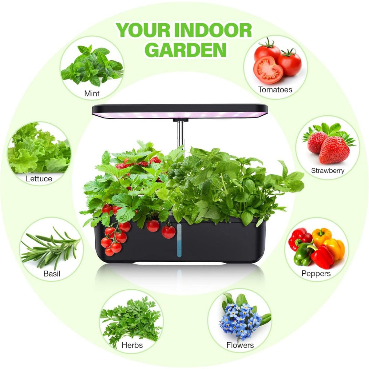 Hydroponics Growing System 12 Pods Indoor Herb Garden with 36W LED Grow Light, Height Adjustable Indoor Grow Kit Countertop Garden Automatic Timer Black Soilphu