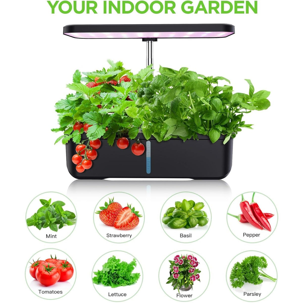 Hydroponics Growing System 12 Pods Indoor Herb Garden with 36W LED Grow Light, Height Adjustable Indoor Grow Kit Countertop Garden Automatic Timer Black Soilphu