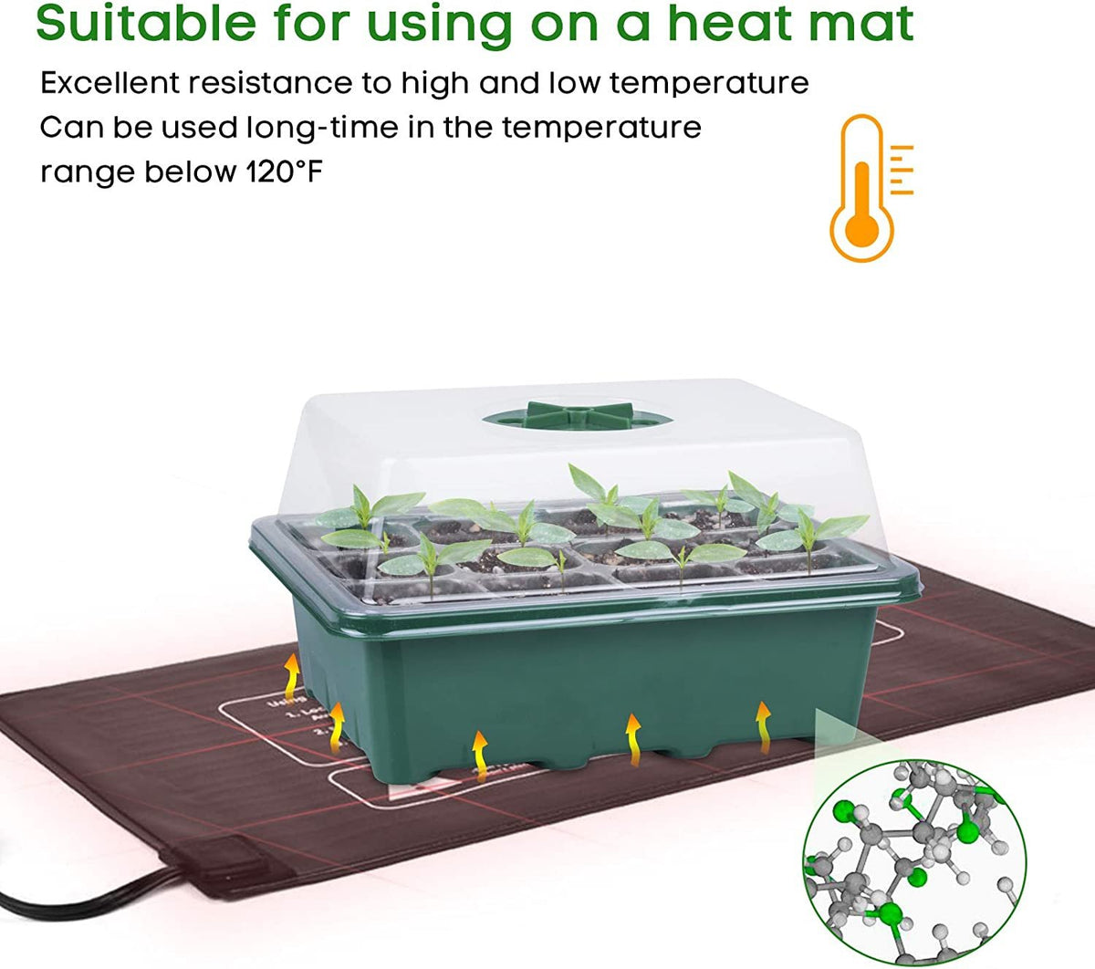 Seed Grow Kit