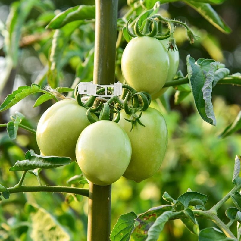 Tomato Plant Support Clips