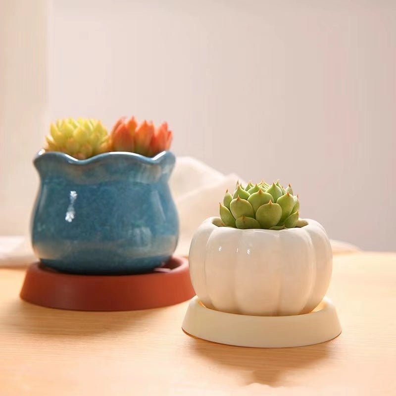 Flower Pot Tray