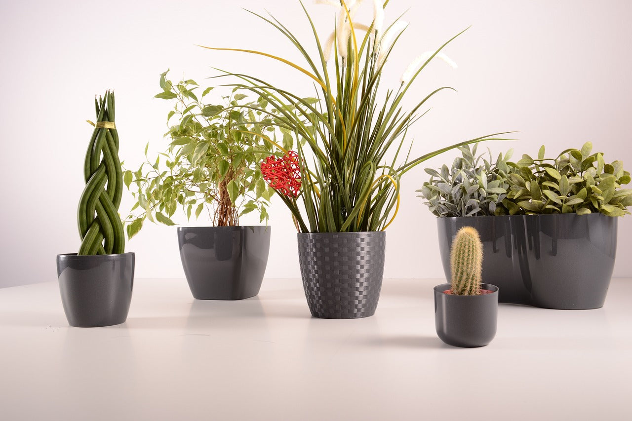 How to choose the right flowerpot for your beloved plants-PART 1