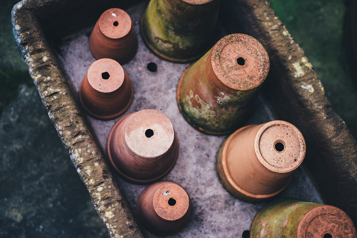 How to choose the right flowerpot for your beloved plants-PART 2