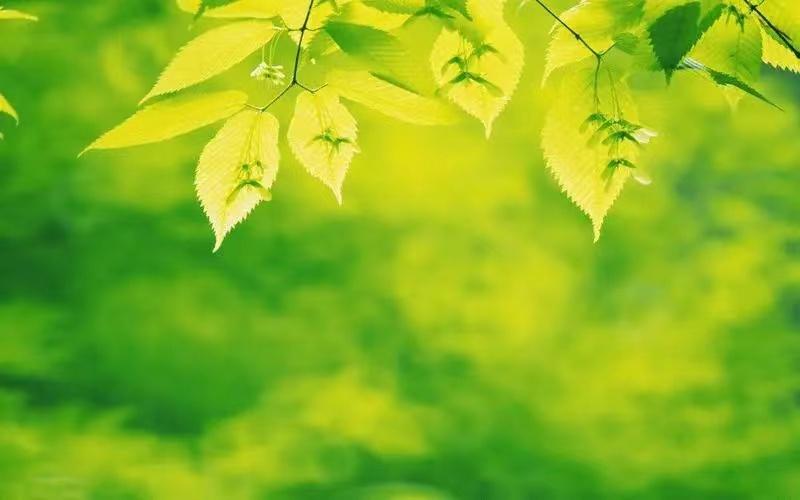 garden light knowledge