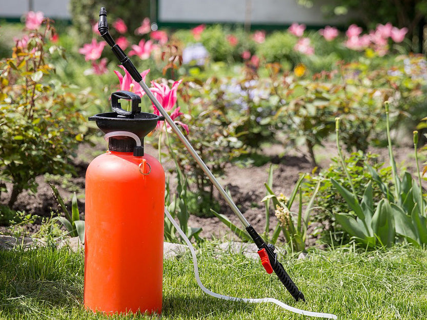 Know the Fertilizers: Types, Importance and Application Methods