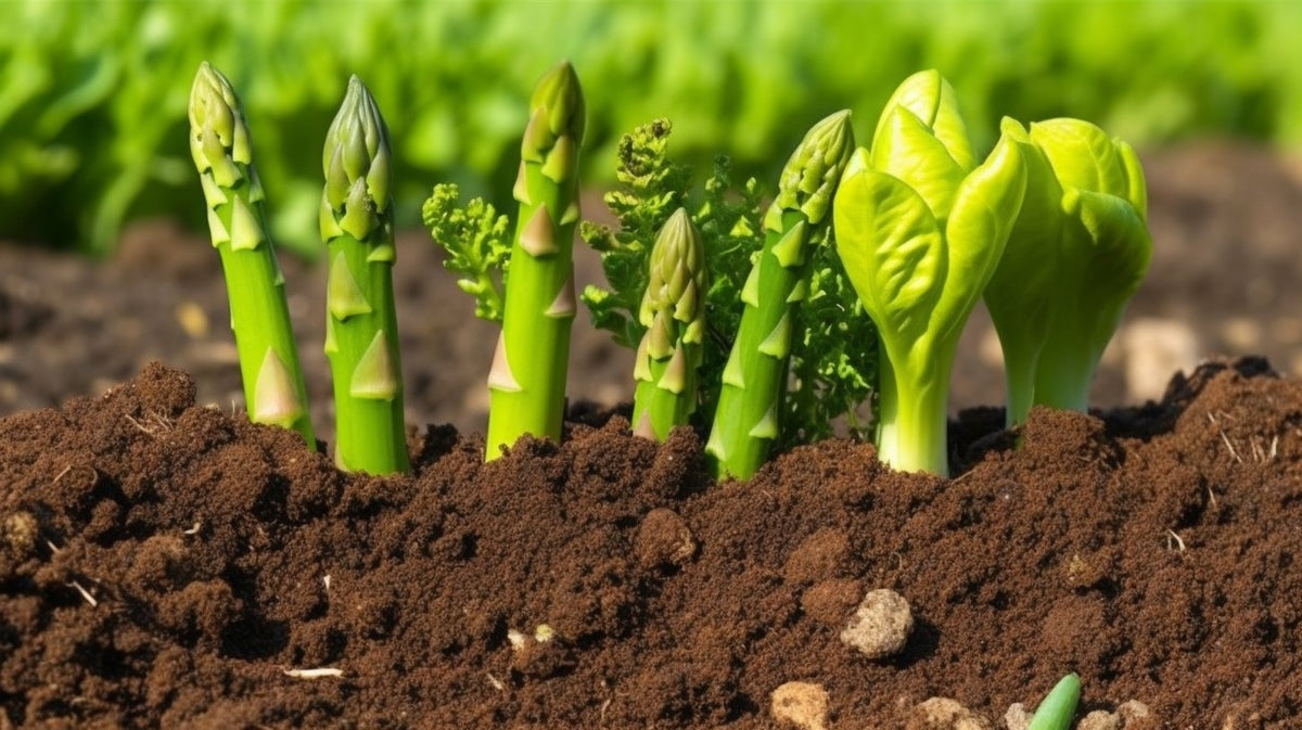 In-depth analysis of soil pH