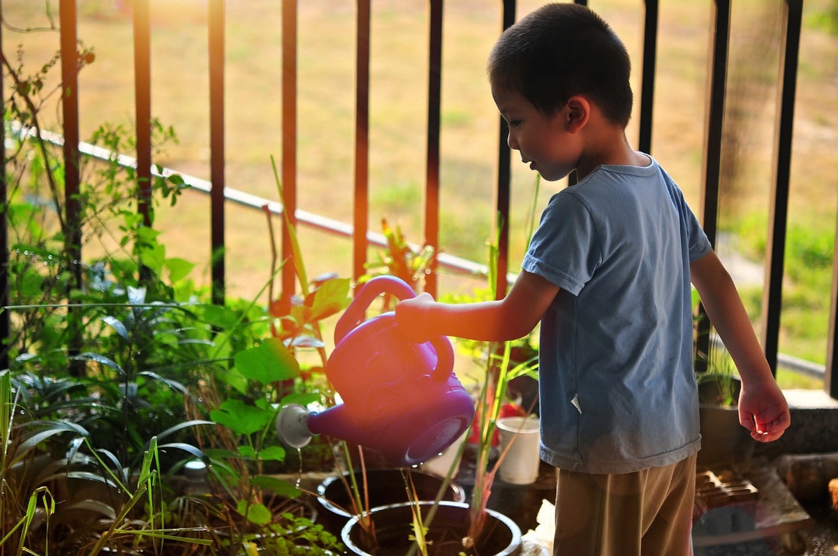 Harnessing the Power of White Vinegar: A Scientific Approach to Watering Your Flowers