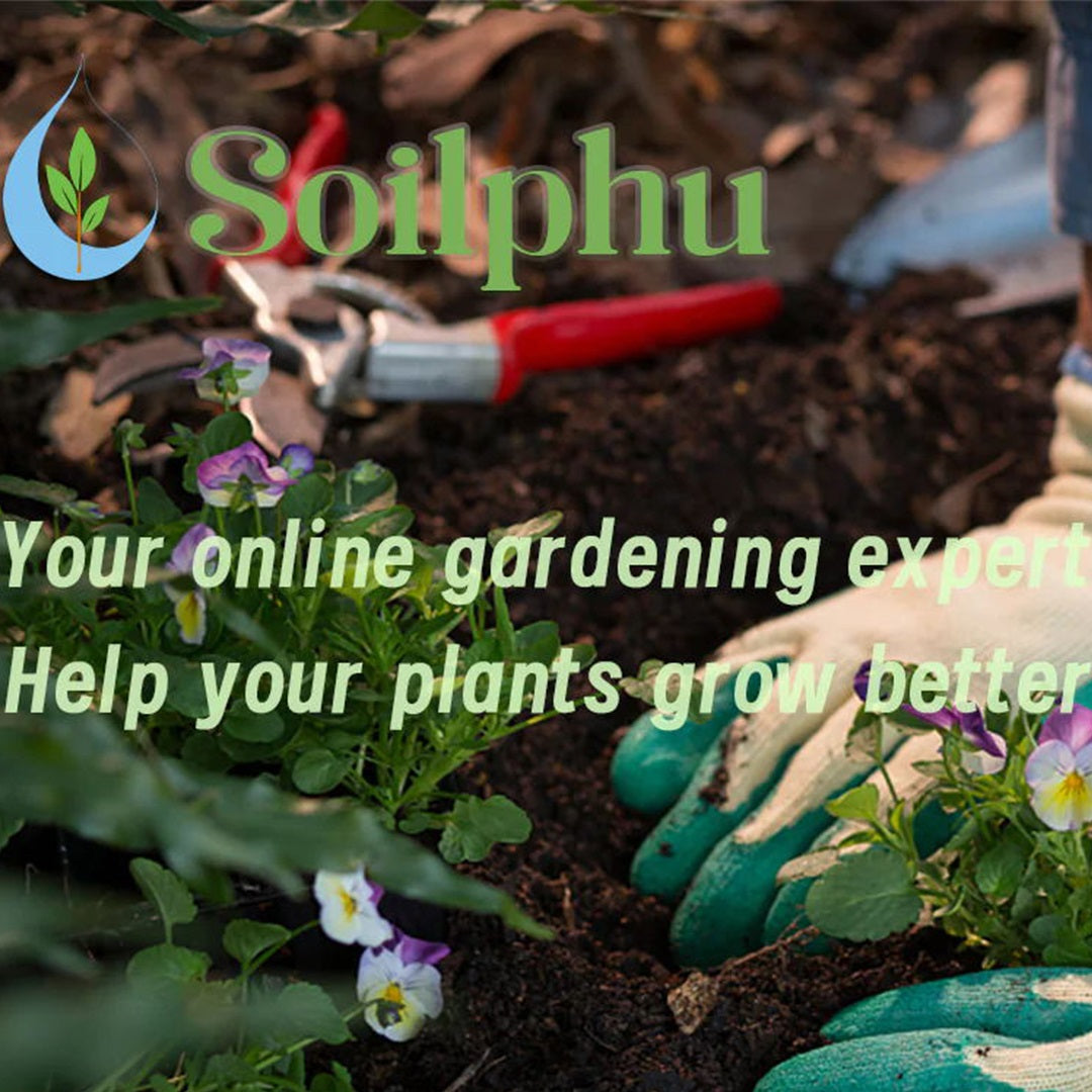 Garden Tools
