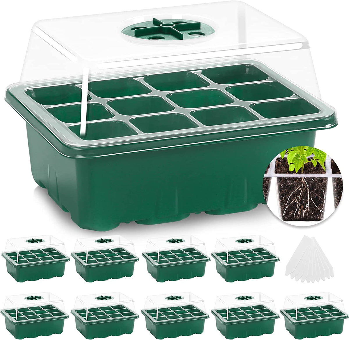 seed growing starter kit