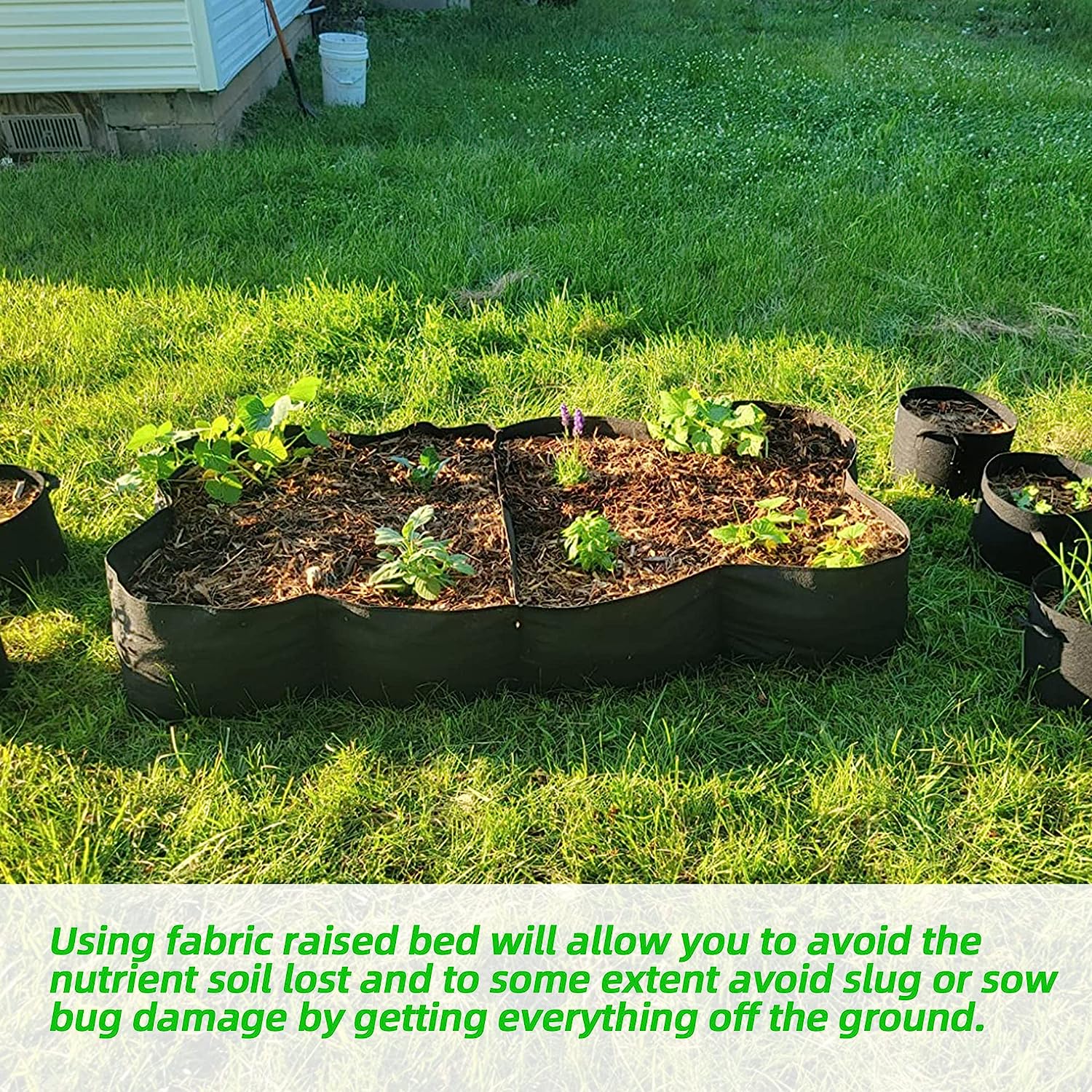 Non-Woven Fabric Plant Beds