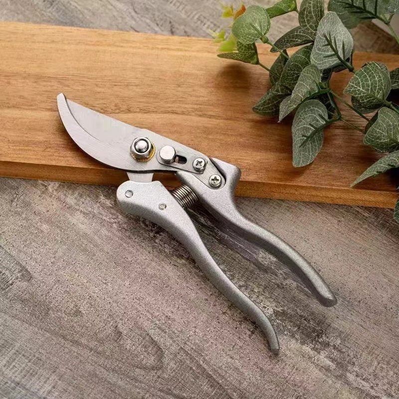 21.5 cm Stainless Steel pruning shears sliver